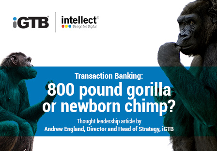 800 pound gorilla