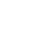 Risk Analyst